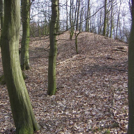 Wallburg auf dem Luftenberg