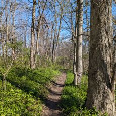 Avon Woods Preserve