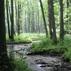 Nature reserve Szumny Zdrój