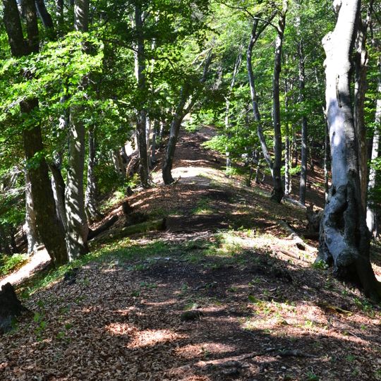 Rezerwat przyrody Rokoš