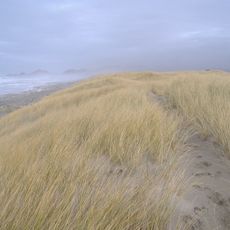 Bob Straub State Park