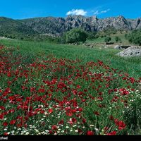 shahrestān di Dalfan