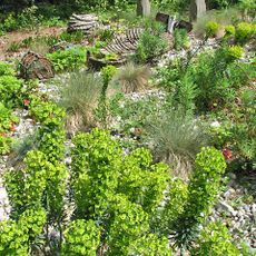 Priory Maze And Gardens