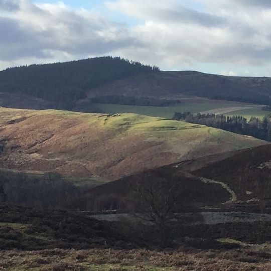 Multivallate hillfort, 400m west of Harehaugh