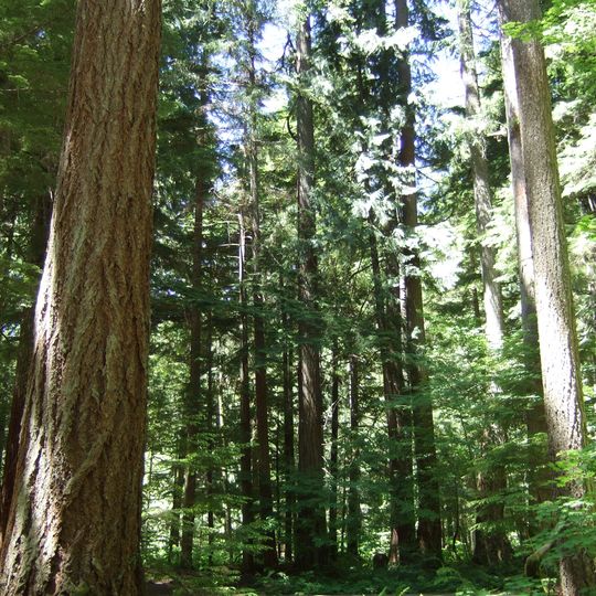 Federation Forest State Park