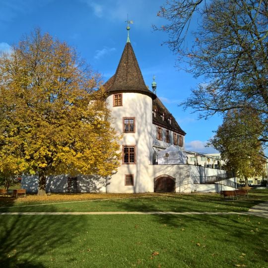 Schloss Binningen