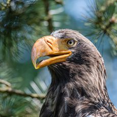 Schmiding Zoo
