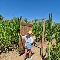 Pop Corn Labyrinthe BORDEAUX- Parempuyre