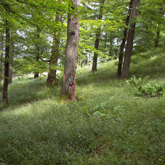 Ringwallanlage Rimberg