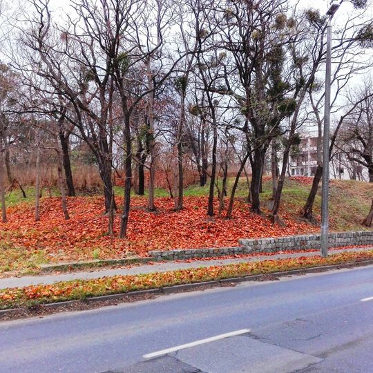 Ogród Jordanowski im. gen. Tokarzewskiego w Toruniu
