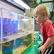 Spartanburg Science Center