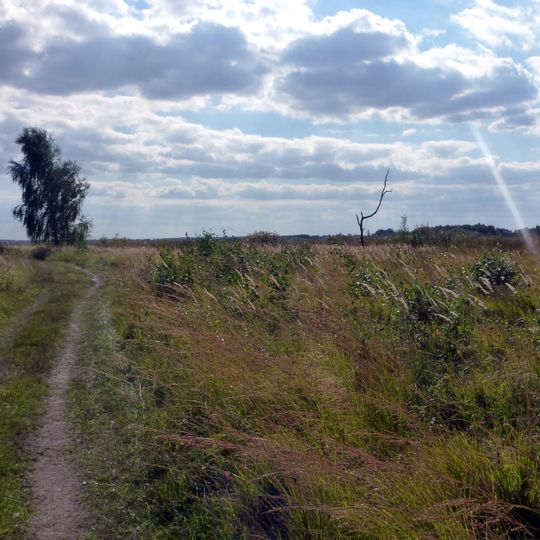 Rezerwat przyrody Bagno Serebryskie